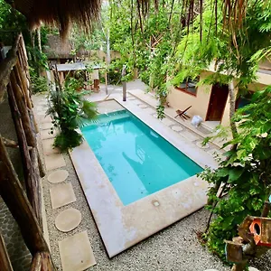 La Selva , Tulum Pueblo Mexico